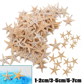 50/100PCS Doğal deniz yıldızı deniz kabuğu Beach Zanaat Doğal Deniz Yıldız DIY Beach Düğün Dekorasyon Ev Dekor Epoksi el Sanatları 